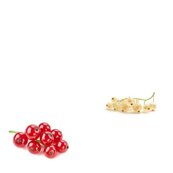 Paul et Marie Jacqueson-thumbnail