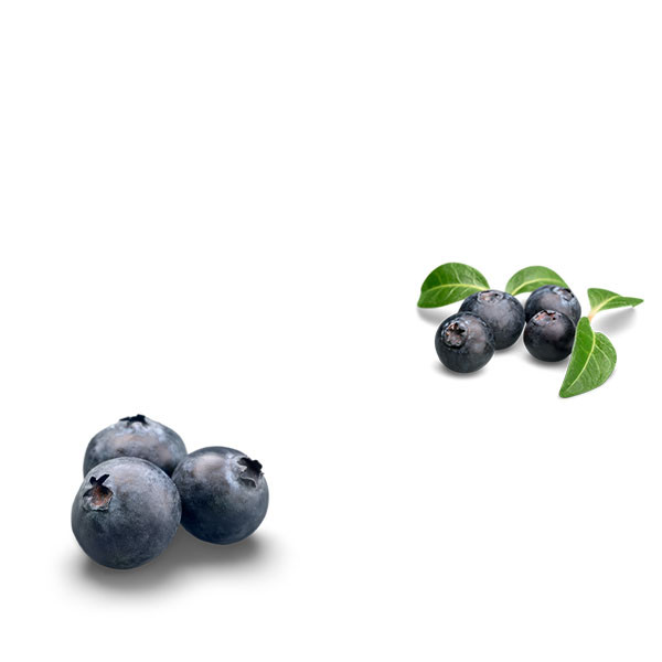 Graeme & Julie Bott-thumbnail