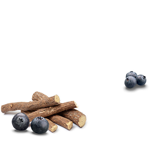 Etats-Unis-thumbnail