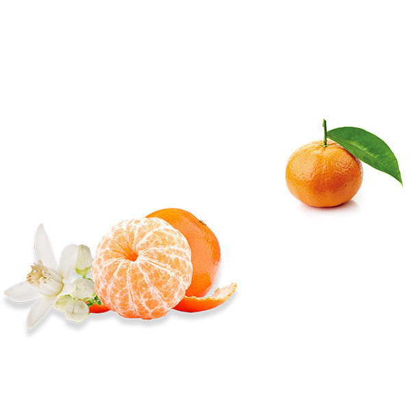 Domaine de la Soufrandière-thumbnail