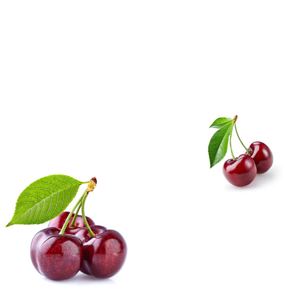 Domaine Emmanuel Rouget-thumbnail