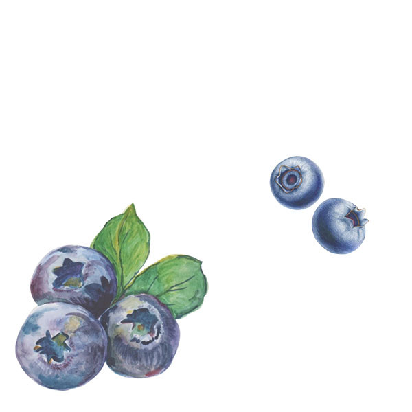 Terrasses du Larzac-thumbnail