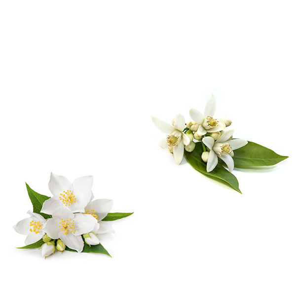 Anne et Jean-François Ganevat-thumbnail