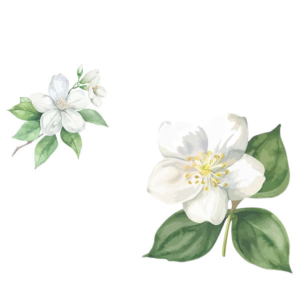 Anne et Jean-François Ganevat-thumbnail