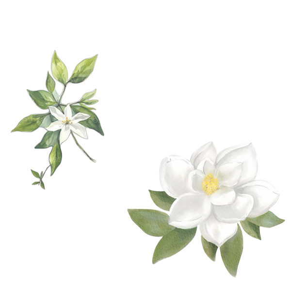 Domaine Chavy-Chouet-thumbnail