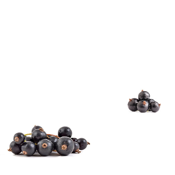 Peter Sichel-thumbnail