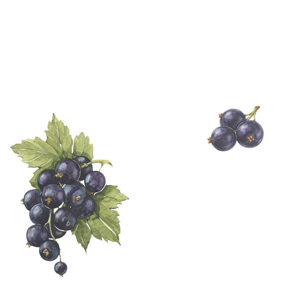 Peter Sichel-thumbnail