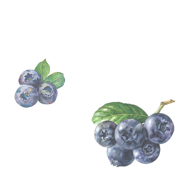 Stéphane Ogier-thumbnail