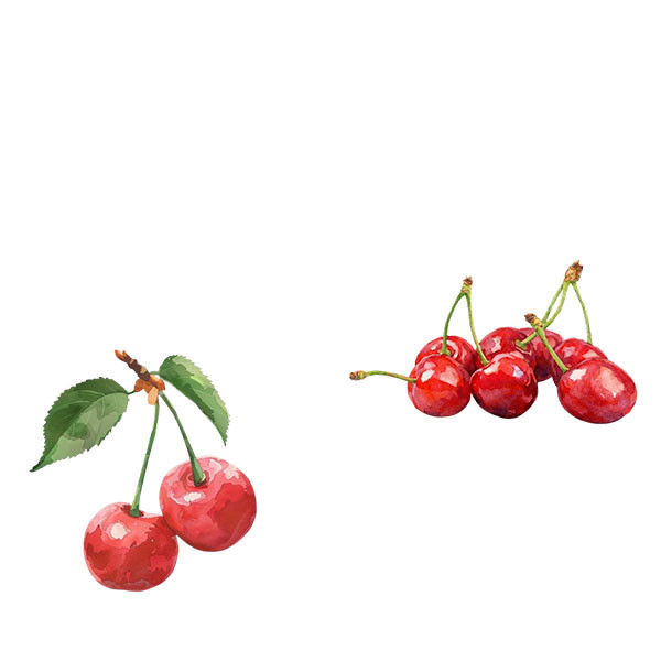 Pierre-Adrien Vadé vs Domaine des Closiers-thumbnail