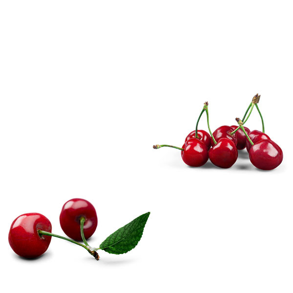 Pierre-Adrien Vadé vs Domaine des Closiers-thumbnail