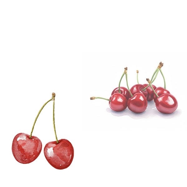 Pierre-Adrien Vadé vs Domaine des Closiers-thumbnail