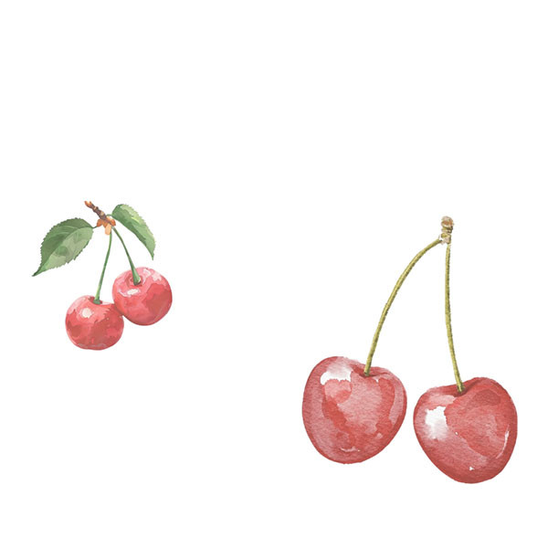 Icônes Côte de Nuits-thumbnail