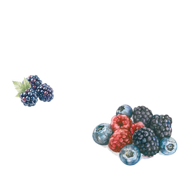 Nouveautés immanquables-thumbnail