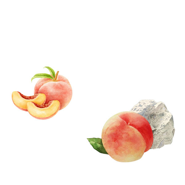 François & Pascal Cotat-thumbnail