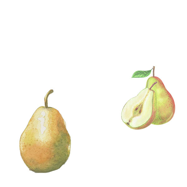 A.Bergère, Bonnet-Ponson et Clandestin-thumbnail