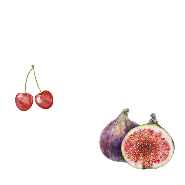 Vega Sicilia-thumbnail