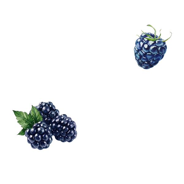 Matthieu Barret-thumbnail