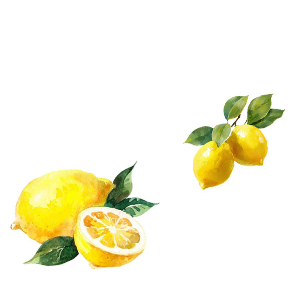 Domaine Matrot-thumbnail