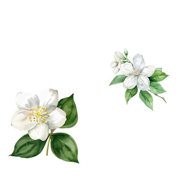 Trio Bourguignon-thumbnail