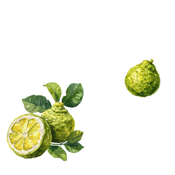 Barmès-Buecher-thumbnail