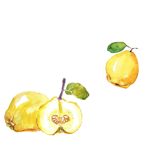 Jacquesson-thumbnail