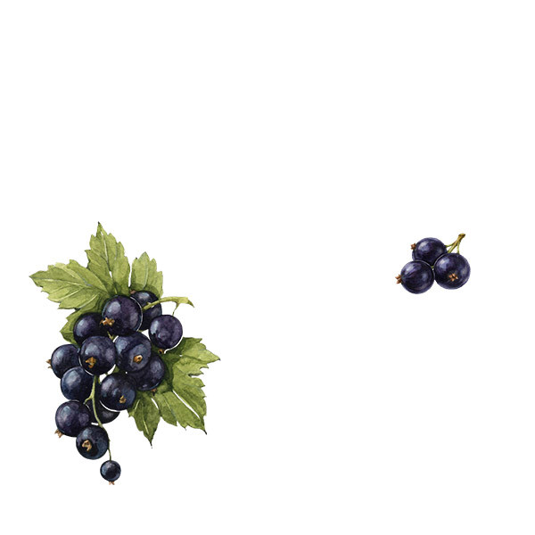 La Janasse-thumbnail