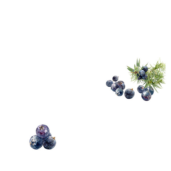 Domaine Hauvette-thumbnail