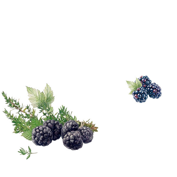 Domaine Comte Abbatucci-thumbnail