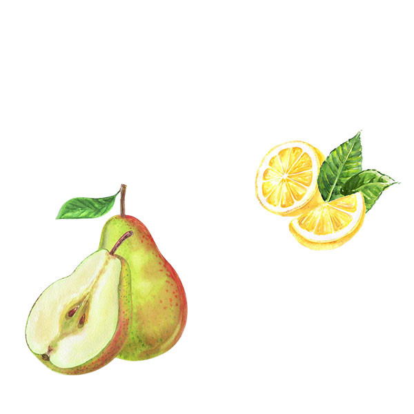 Anjou-thumbnail