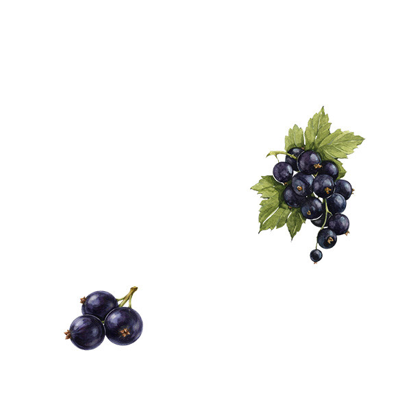 Domaine Bernard Gripa-thumbnail