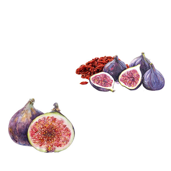 Trio Corse-thumbnail