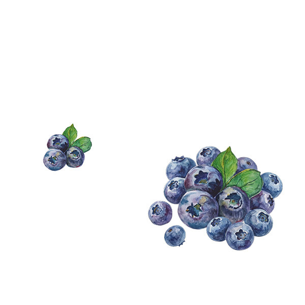 Côte-Rôtie VS Hermitage-thumbnail