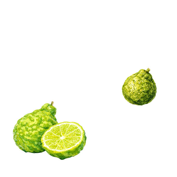 Grands Sauvignon-thumbnail